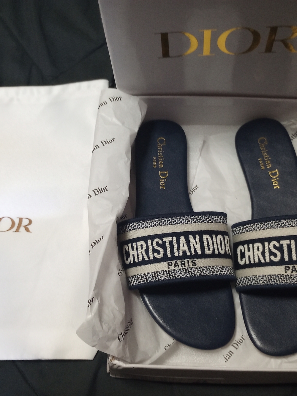 Dior Navy and White CHRISTIAN DIOR Logo Slide Sandals